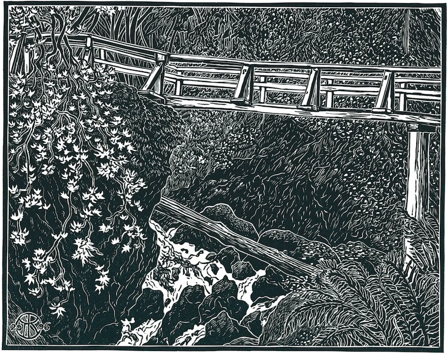 Bootjack Trail Footbridge — Tom Killion